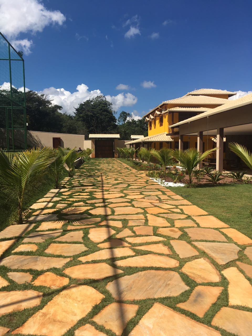 Cacão de São Tomé